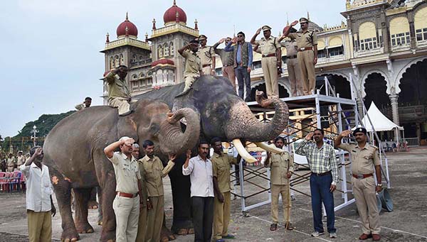 ದಸರಾ ಮಹೋತ್ಸವ: ಅರಮನೆ ಆವಣರದಲ್ಲಿ ಆನೆಗಳ ತಾಲೀಮಿಗೆ ಚಾಲನೆ